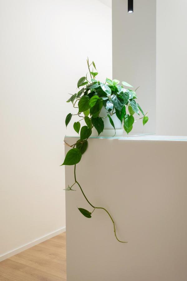 Mori'S Rooms ปาแลร์โม ภายนอก รูปภาพ